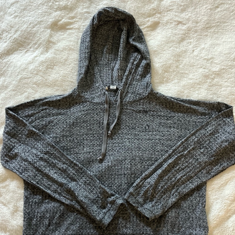 American Eagle Hooded Sweater